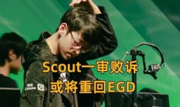 黑哥爆料罗阿薇视频大全,罗阿薇视频大全背后的惊人真相